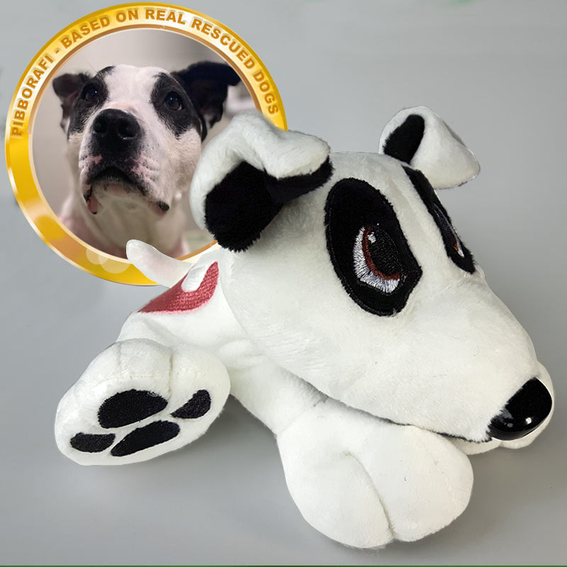 Pibborafi Rescue Heroes - Aya, Mixed Breed Rescue