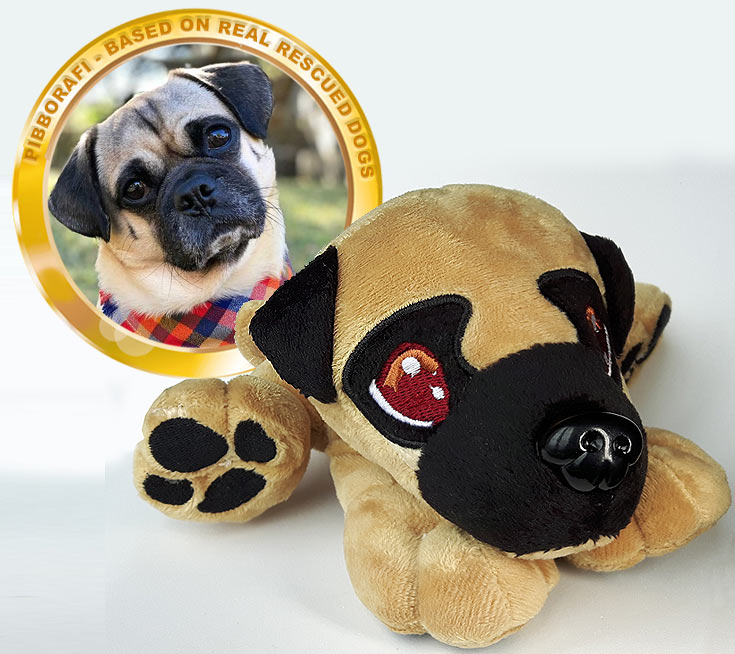 Pibborafi Rescue Heroes - Rumi, Mixed Pug Rescue