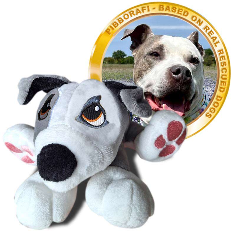 Pibborafi Rescue Heroes - Chaplin, Bully Breed Rescue