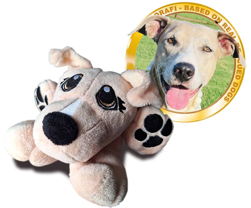 Pibborafi Rescue Heroes - Missy, Mix Breed Rescue