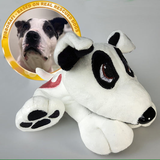 Pibborafi Rescue Heroes - Aya, Mixed Breed Rescue
