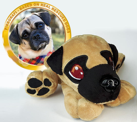 Pibborafi Rescue Heroes - Rumi, Mixed Pug Rescue